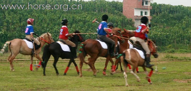 [推荐]2010南宁乘风寨少年马球英语夏令营随记2