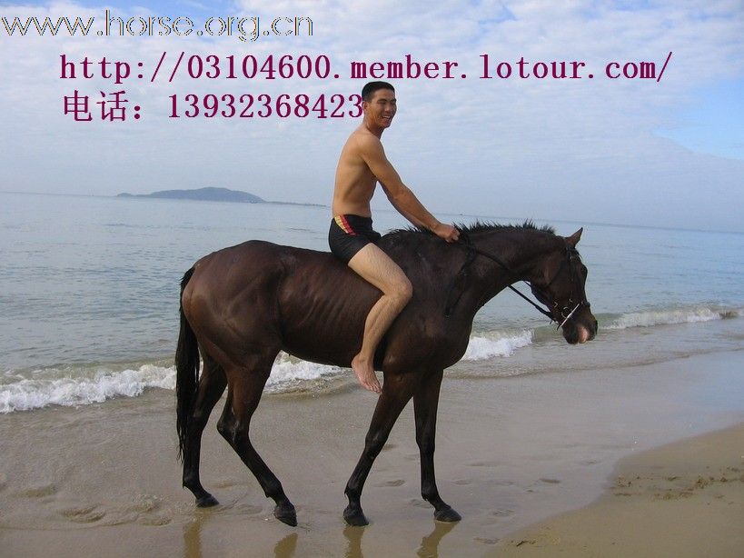 北京骑马最便宜的地方