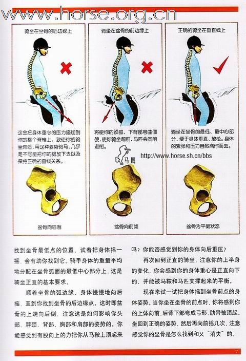 [分享]改进骑手的姿势