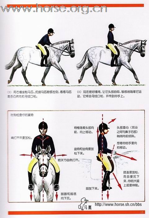 [分享]改进骑手的姿势