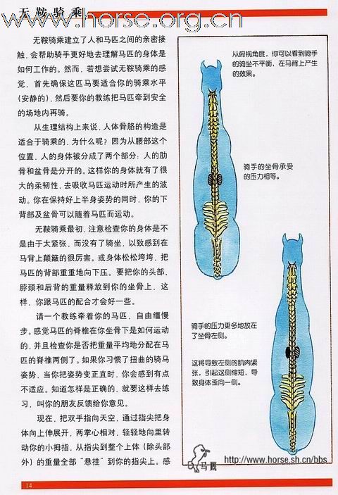 [分享]改进骑手的姿势