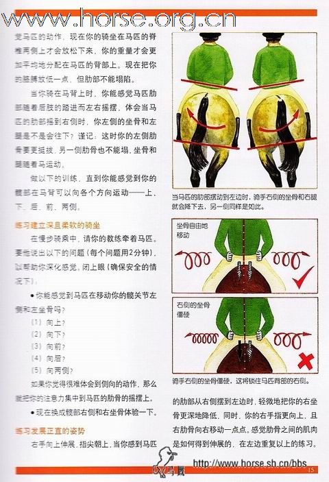 [分享]改进骑手的姿势