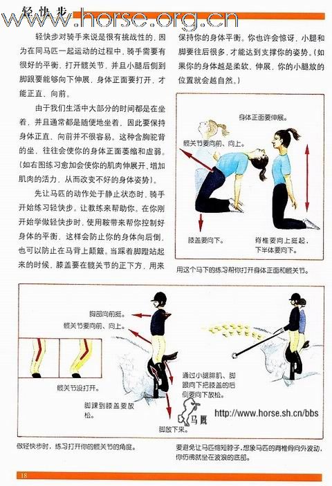 [分享]改进骑手的姿势