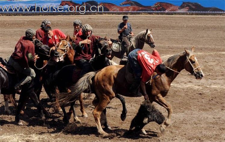 [原创]哈萨克斯坦叼羊联赛和优秀马匹