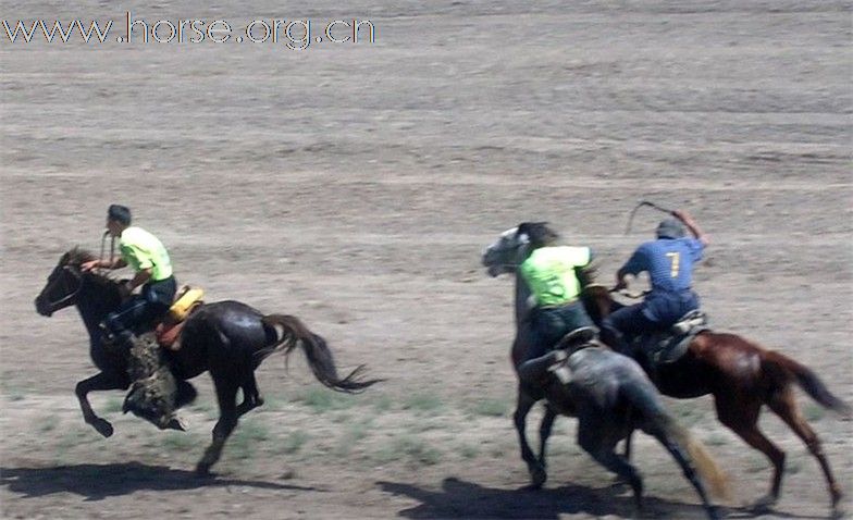 [原创]哈萨克斯坦叼羊联赛和优秀马匹