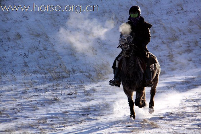 风雪坝上行之流水帐