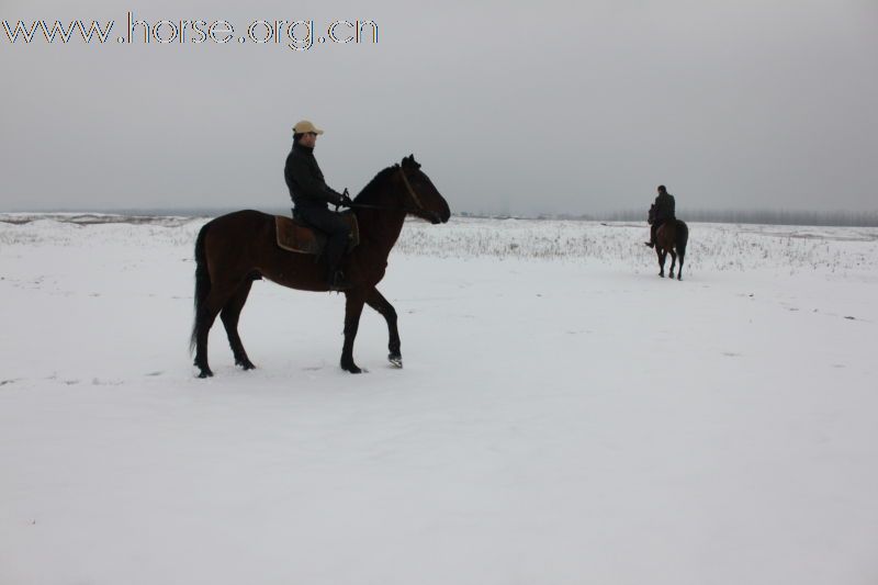 2011踏雪