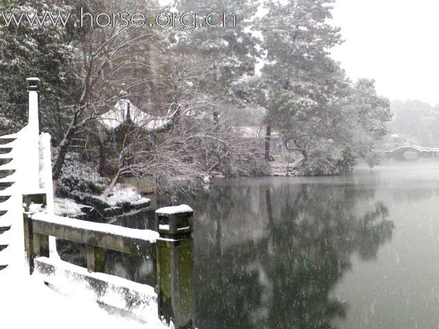 风雪清独影，共饮长相思