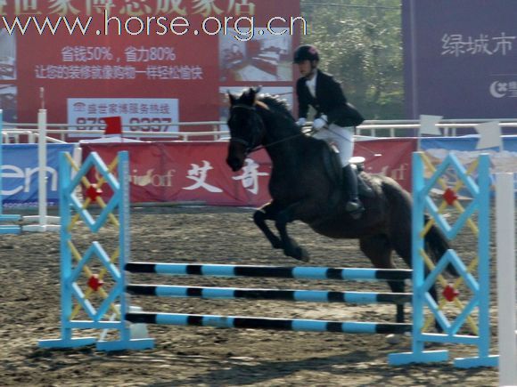 2011元旦伯骏马会赛场PP