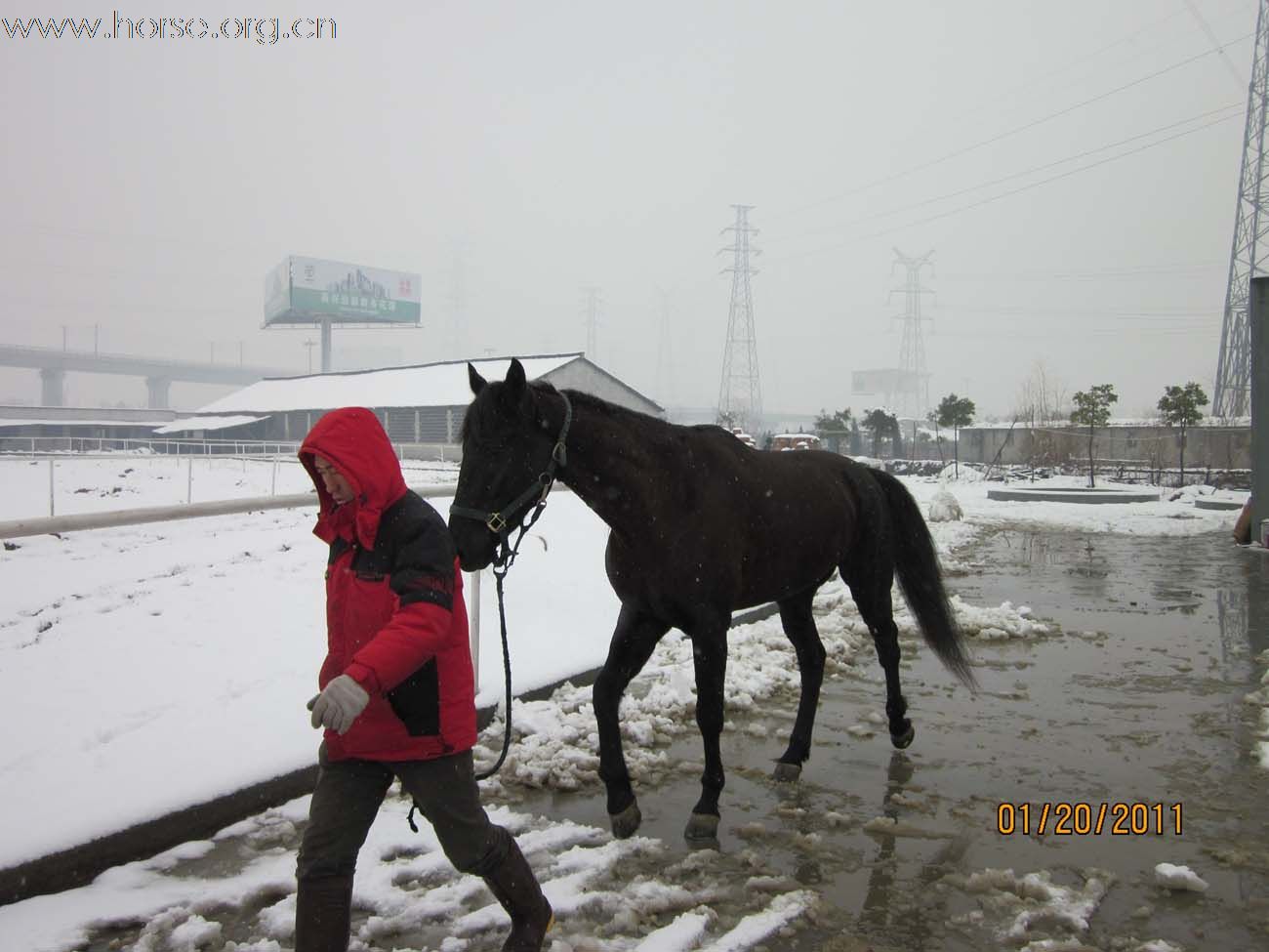2011年马场第一场雪
