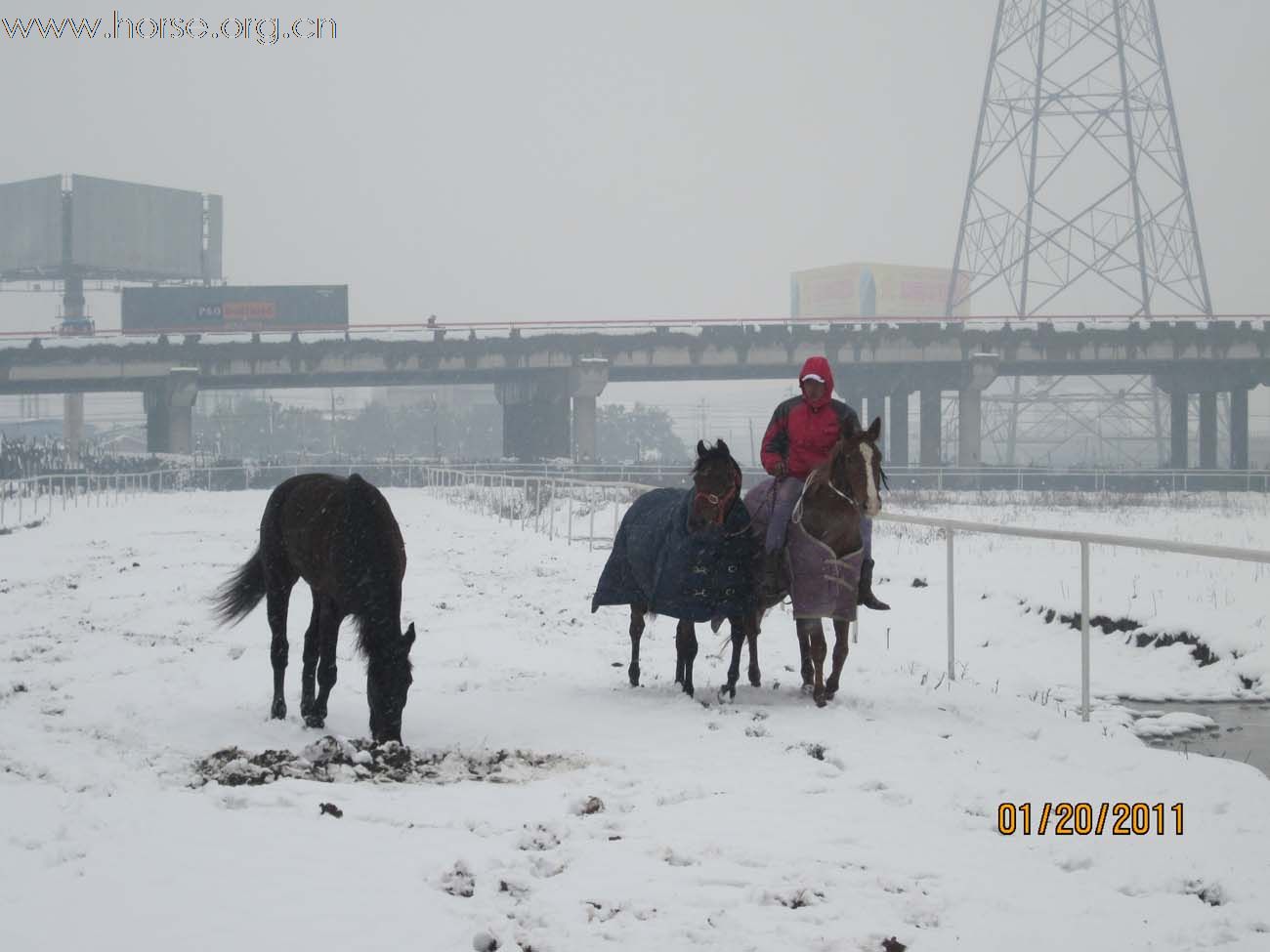 2011年马场第一场雪