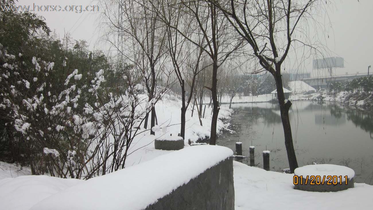 2011年马场第一场雪