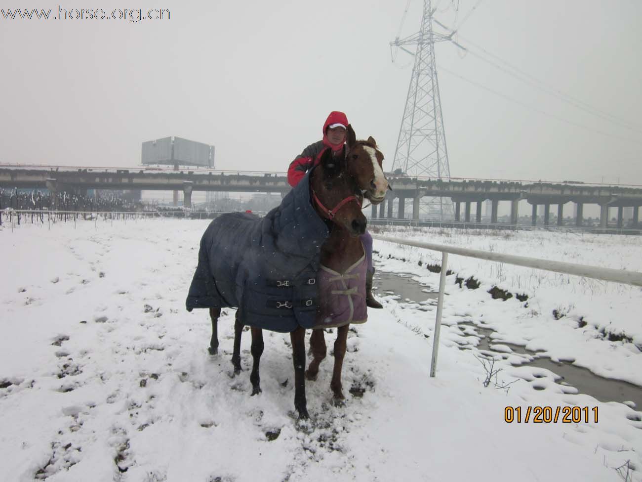 2011年马场第一场雪