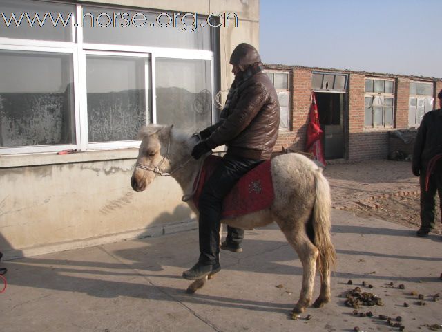 便宜卖马