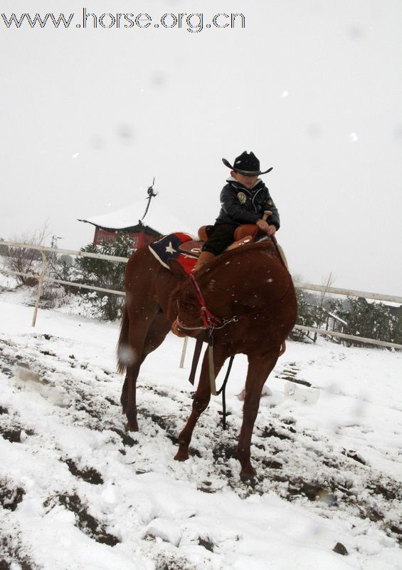 后备力量！上海的雪中骑。