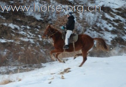 我和三徒弟雪地狂奔！！哈哈哈