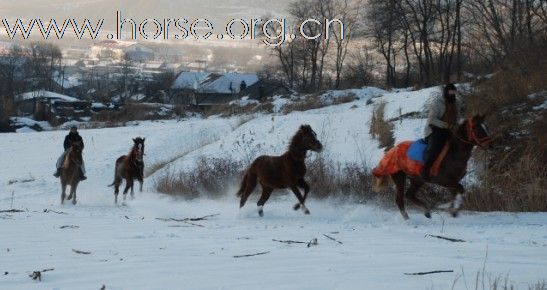 我和三徒弟雪地狂奔！！哈哈哈