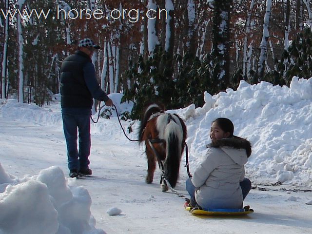 越野滑雪