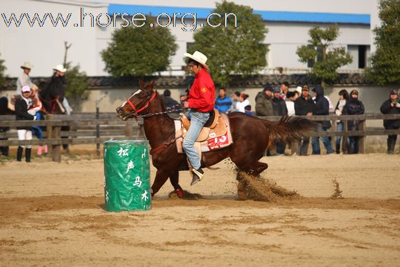 重大赛事喜讯！！青岛宝湖2011中国（杭州）马术大奖赛再传佳绩