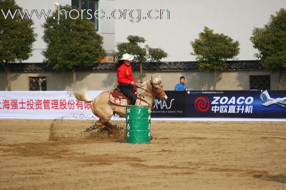 青岛马术协会2011年大聚会