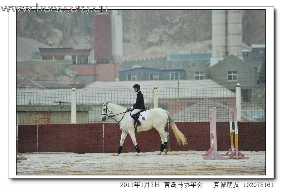 青岛市马术协会2011年年会精彩图片