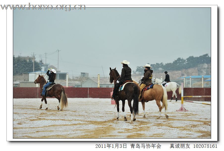 青岛市马术协会2011年年会精彩图片