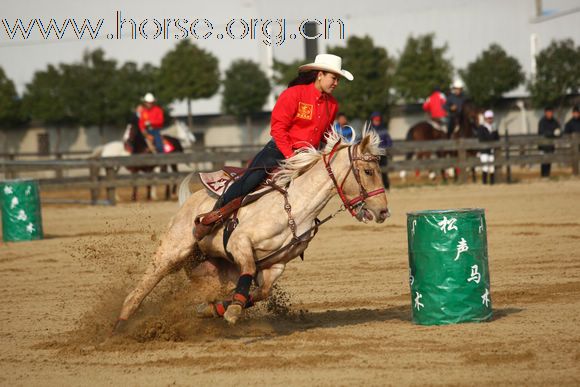 青岛市马术协会2011年年会精彩图片