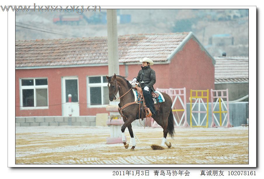 青岛市马术协会2011年年会精彩图片