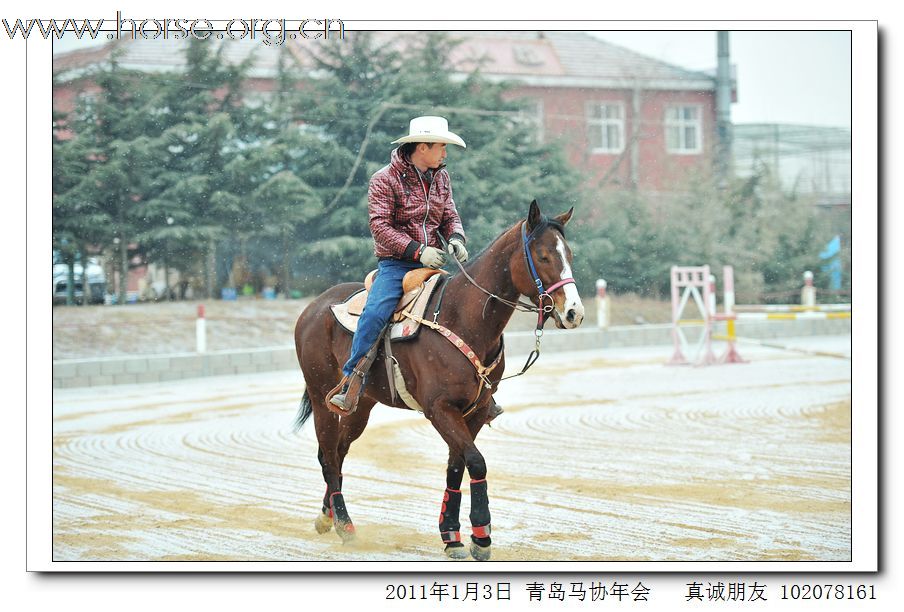 青岛市马术协会2011年年会精彩图片