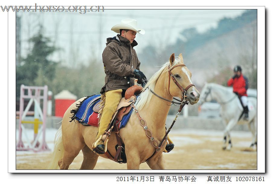 青岛市马术协会2011年年会精彩图片