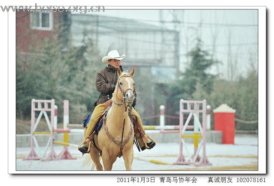 青岛市马术协会2011年年会精彩图片