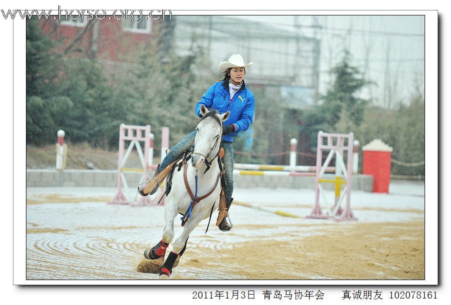 青岛市马术协会2011年年会精彩图片