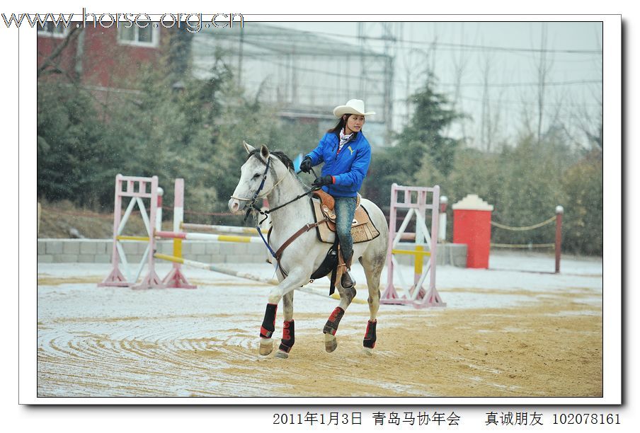 青岛市马术协会2011年年会精彩图片