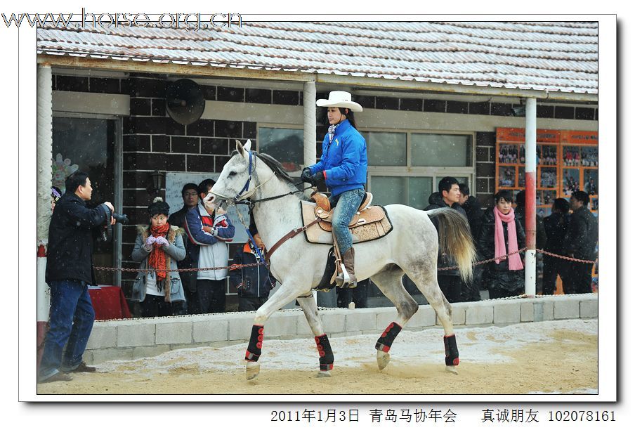 青岛市马术协会2011年年会精彩图片