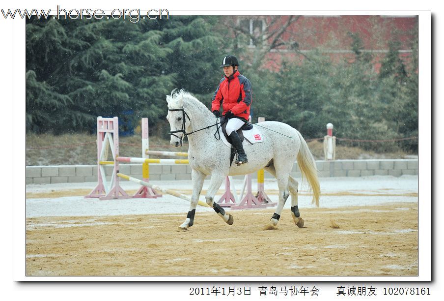 青岛市马术协会2011年年会精彩图片