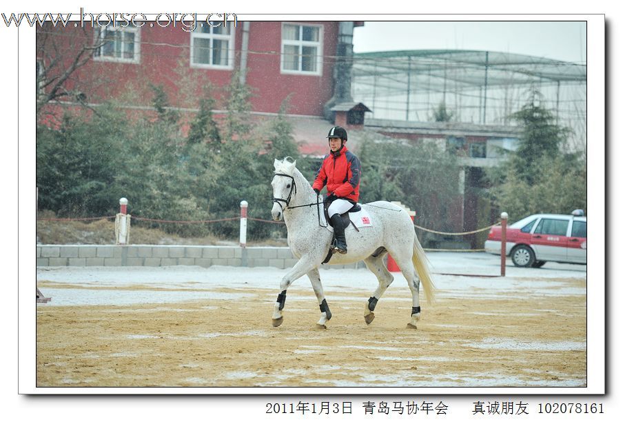 青岛市马术协会2011年年会精彩图片