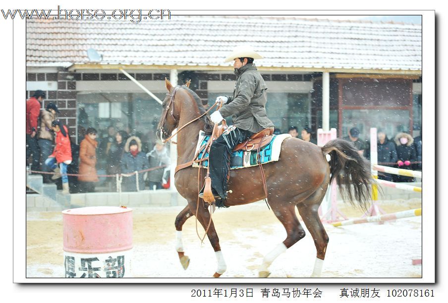 青岛市马术协会2011年年会精彩图片