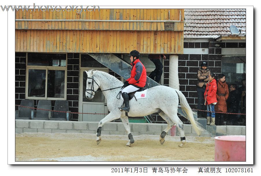 青岛市马术协会2011年年会精彩图片