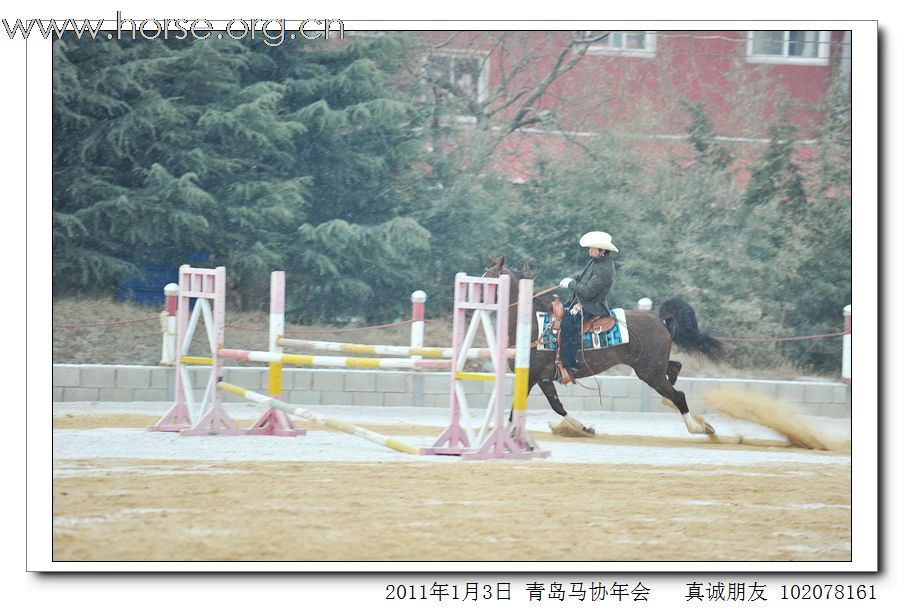 青岛市马术协会2011年年会精彩图片