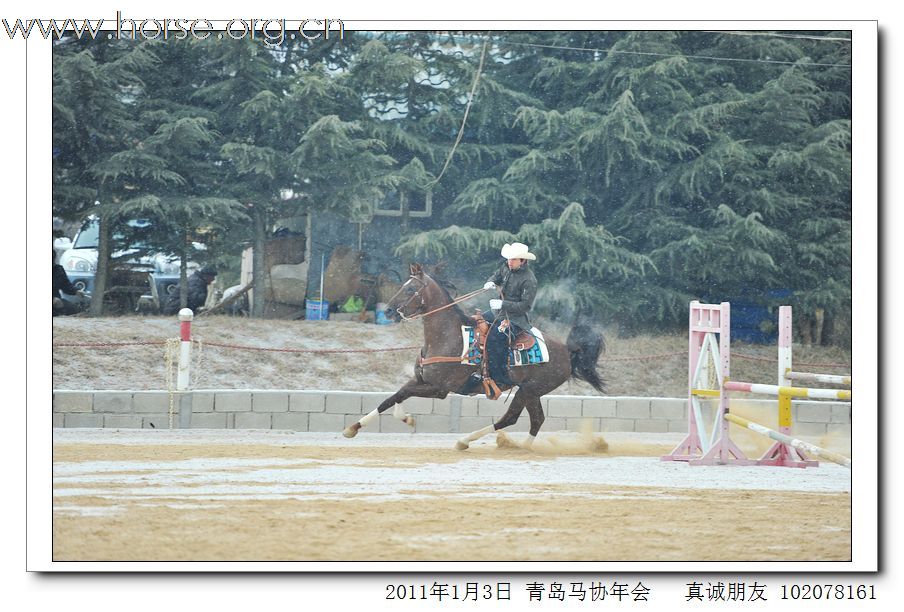 青岛市马术协会2011年年会精彩图片