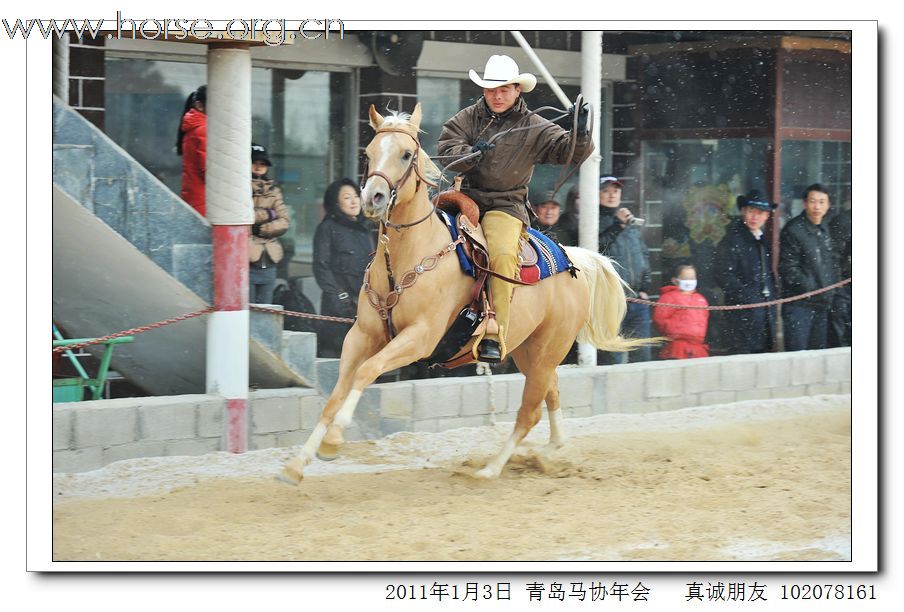 青岛市马术协会2011年年会精彩图片