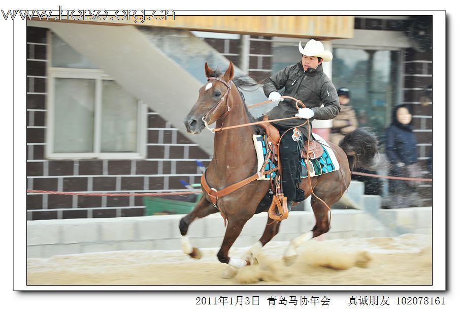 青岛市马术协会2011年年会精彩图片