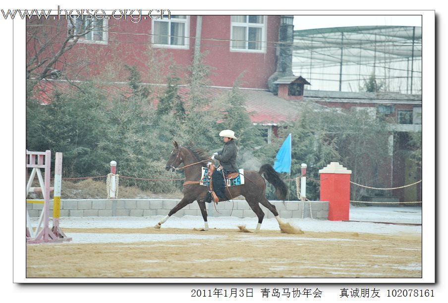 青岛市马术协会2011年年会精彩图片