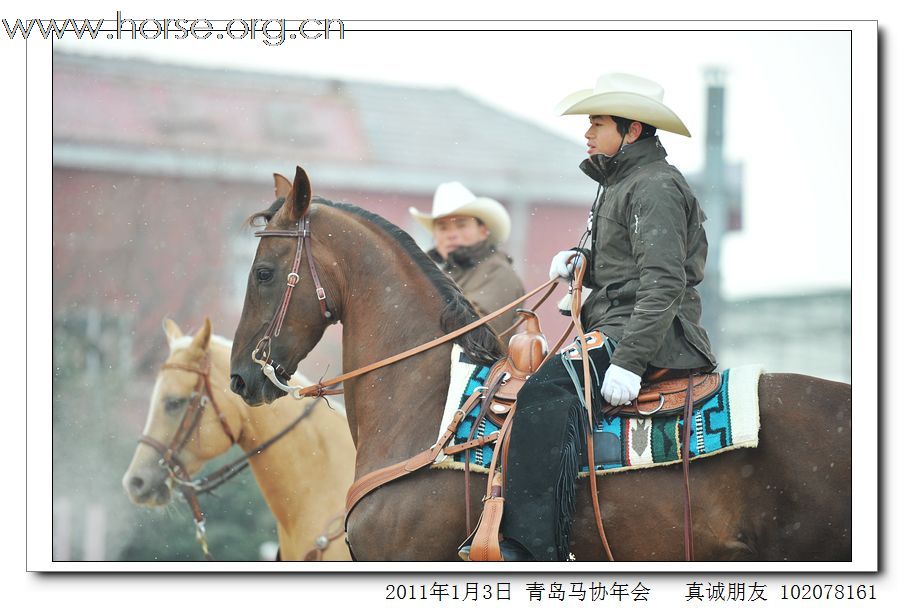 青岛市马术协会2011年年会精彩图片