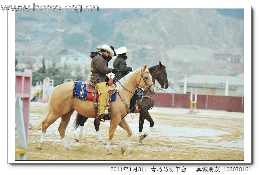 青岛市马术协会2011年年会精彩图片