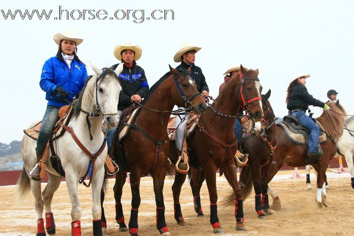 青岛马术协会2011年会最新图片