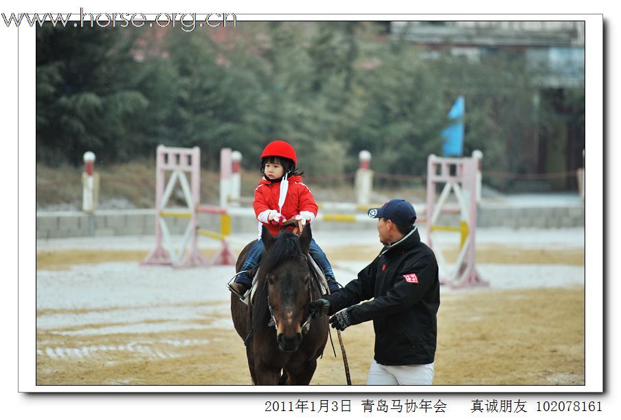 青岛市马术协会2011年年会精彩图片