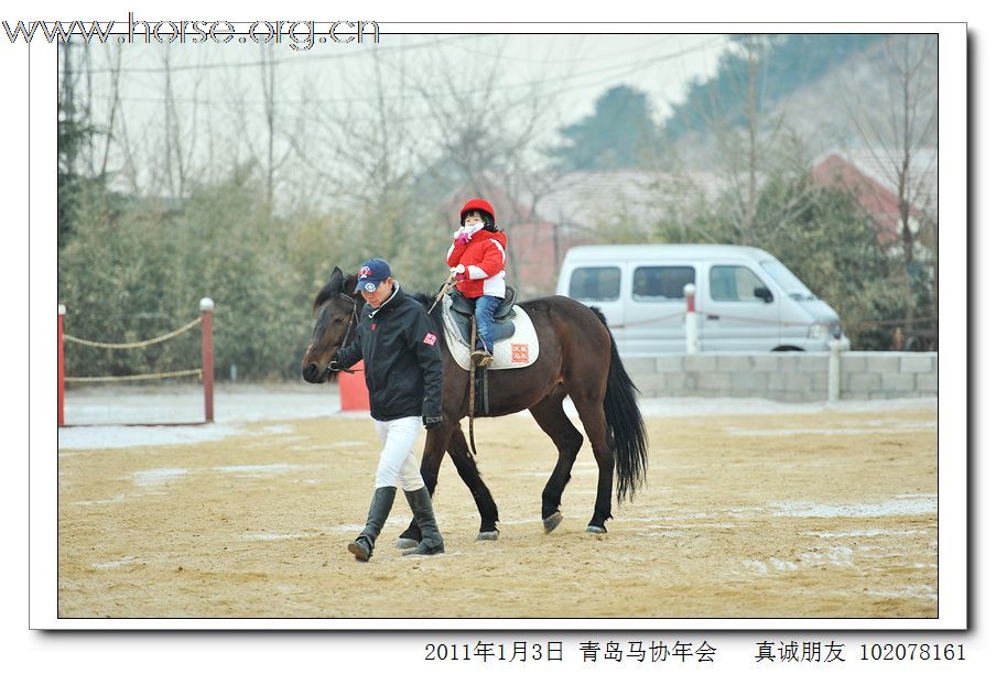 青岛市马术协会2011年年会精彩图片