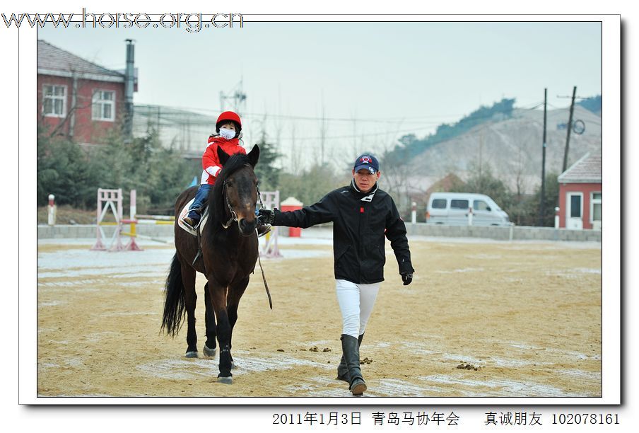 青岛市马术协会2011年年会精彩图片