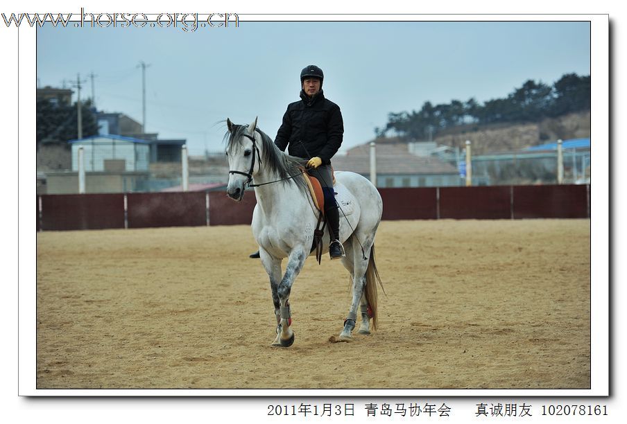 青岛市马术协会2011年年会精彩图片